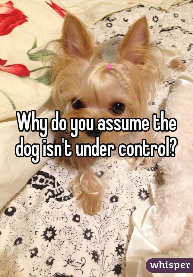 Why do you assume the dog isn't under control?