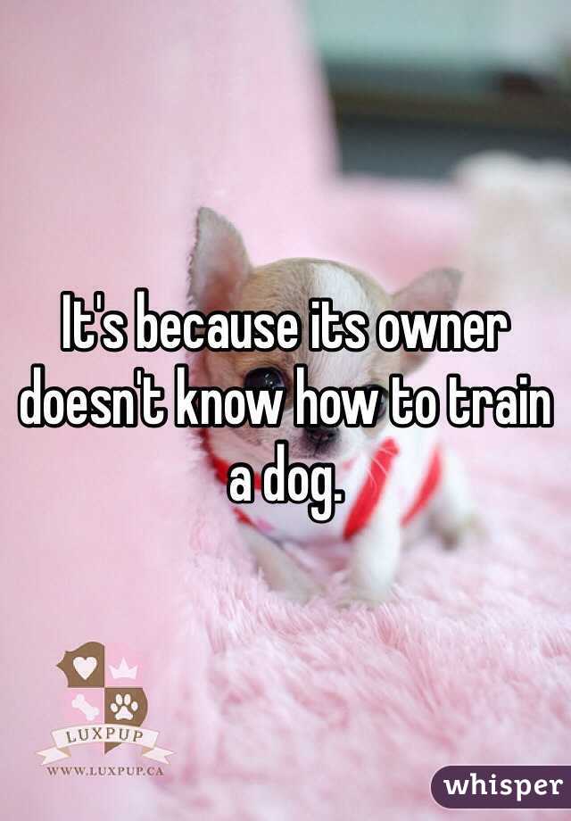 It's because its owner doesn't know how to train a dog.  