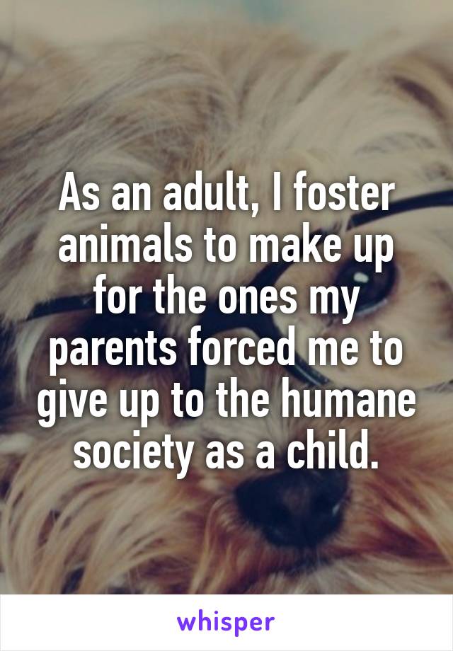 As an adult, I foster animals to make up for the ones my parents forced me to give up to the humane society as a child.