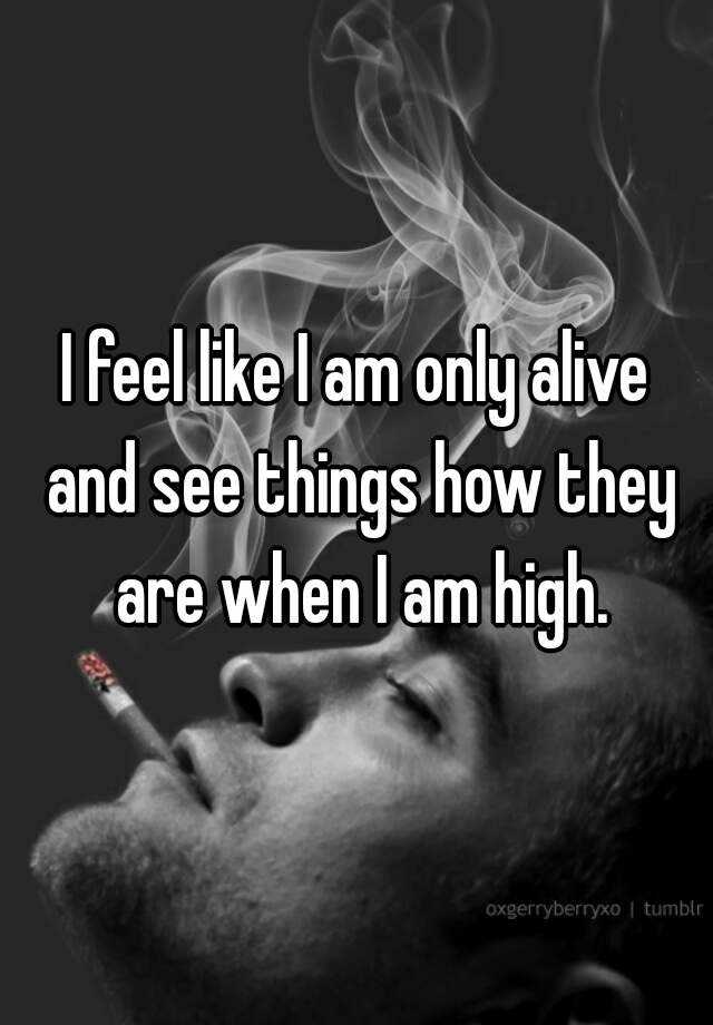 i-feel-like-i-am-only-alive-and-see-things-how-they-are-when-i-am-high