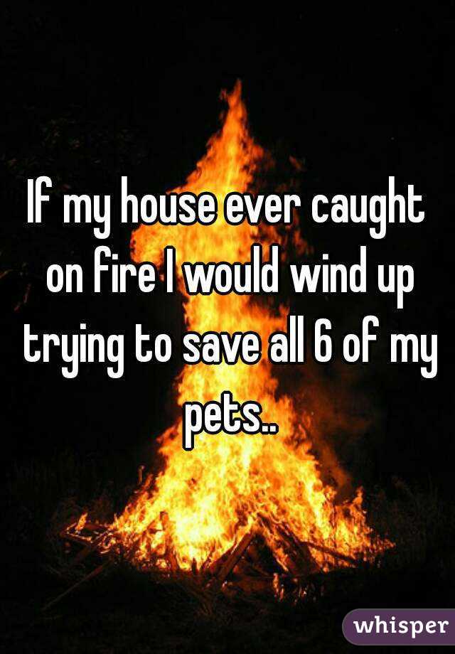 if-my-house-ever-caught-on-fire-i-would-wind-up-trying-to-save-all-6-of