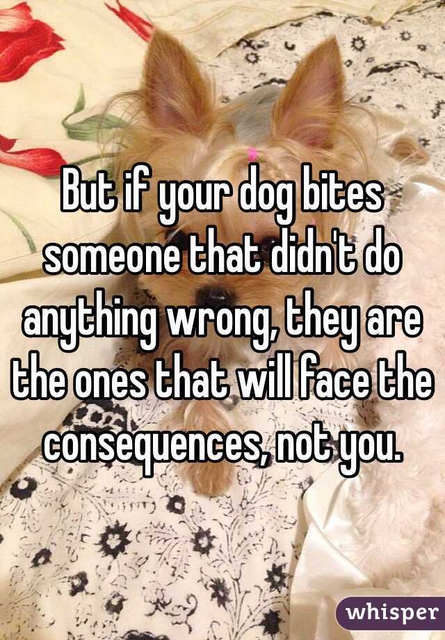 But if your dog bites someone that didn't do anything wrong, they are the ones that will face the consequences, not you. 