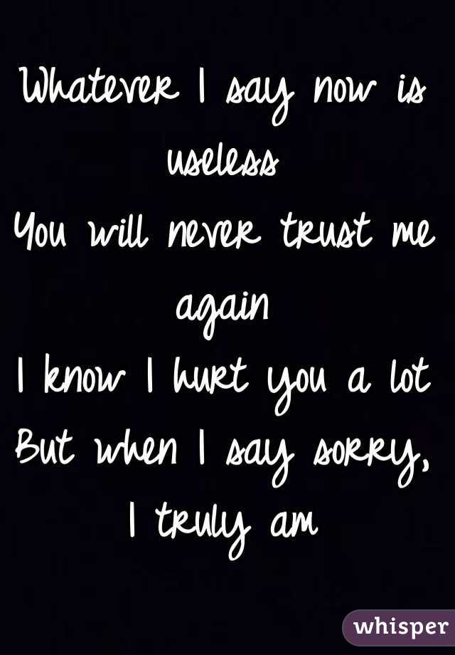 Whatever I say now is useless
You will never trust me again
I know I hurt you a lot
But when I say sorry, I truly am