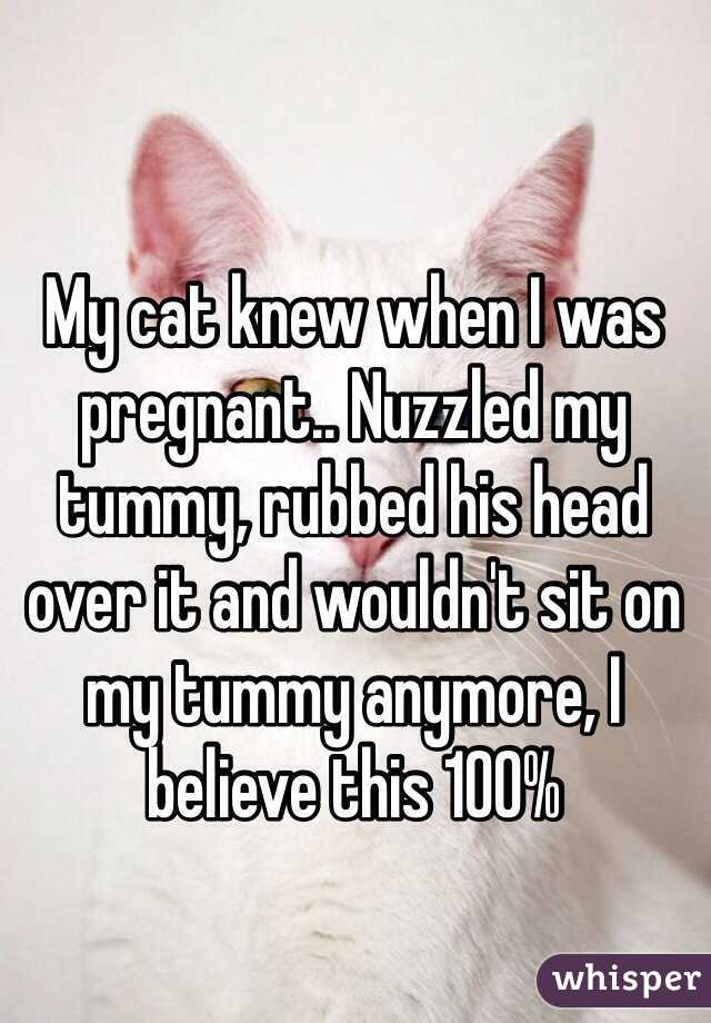 My cat knew when I was pregnant.. Nuzzled my tummy, rubbed his head over it and wouldn't sit on my tummy anymore, I believe this 100%