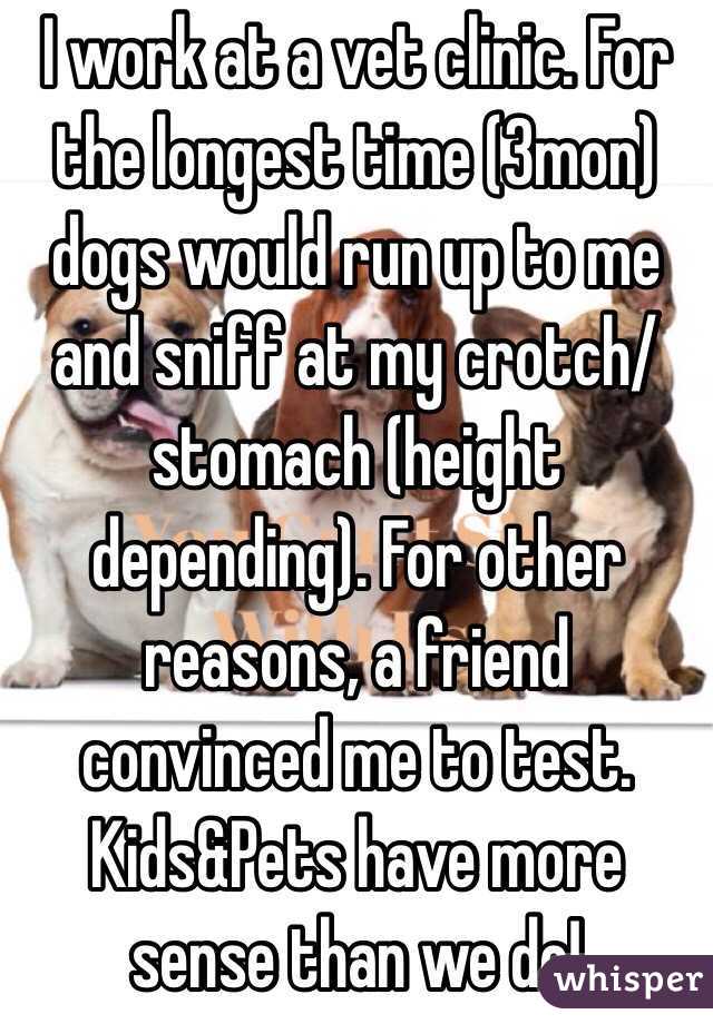 I work at a vet clinic. For the longest time (3mon) dogs would run up to me and sniff at my crotch/stomach (height depending). For other reasons, a friend convinced me to test. Kids&Pets have more sense than we do!