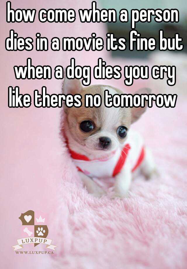 how-come-when-a-person-dies-in-a-movie-its-fine-but-when-a-dog-dies-you