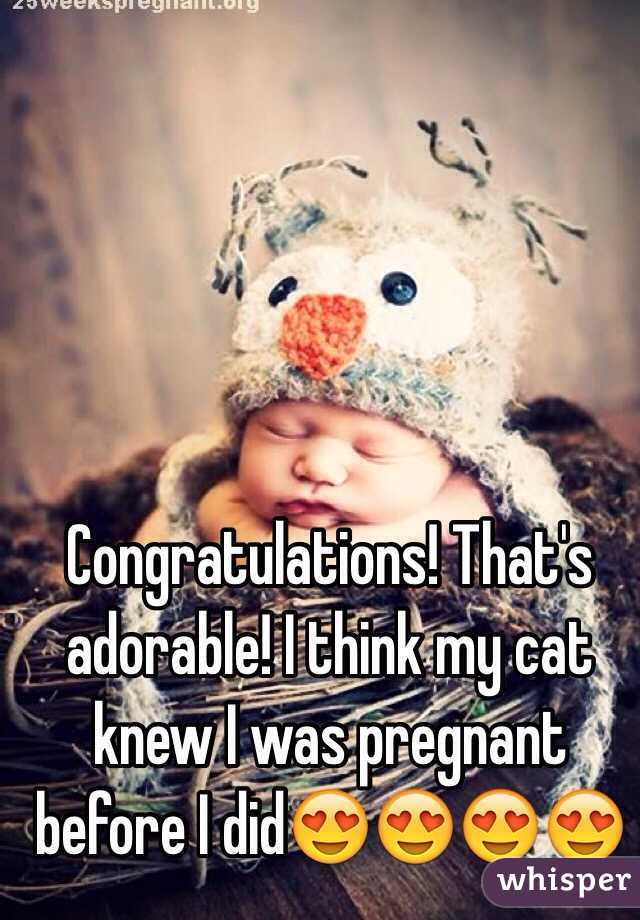 Congratulations! That's adorable! I think my cat knew I was pregnant before I did😍😍😍😍