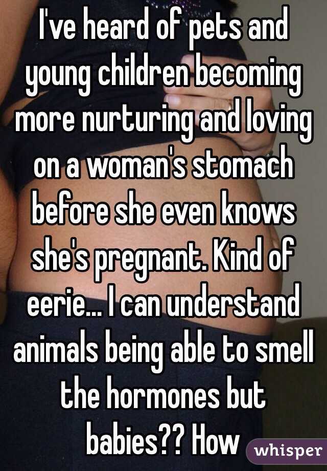 I've heard of pets and young children becoming more nurturing and loving on a woman's stomach before she even knows she's pregnant. Kind of eerie... I can understand animals being able to smell the hormones but babies?? How 