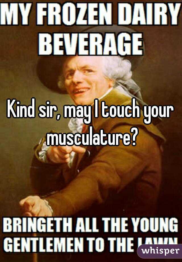 Kind sir, may I touch your musculature?