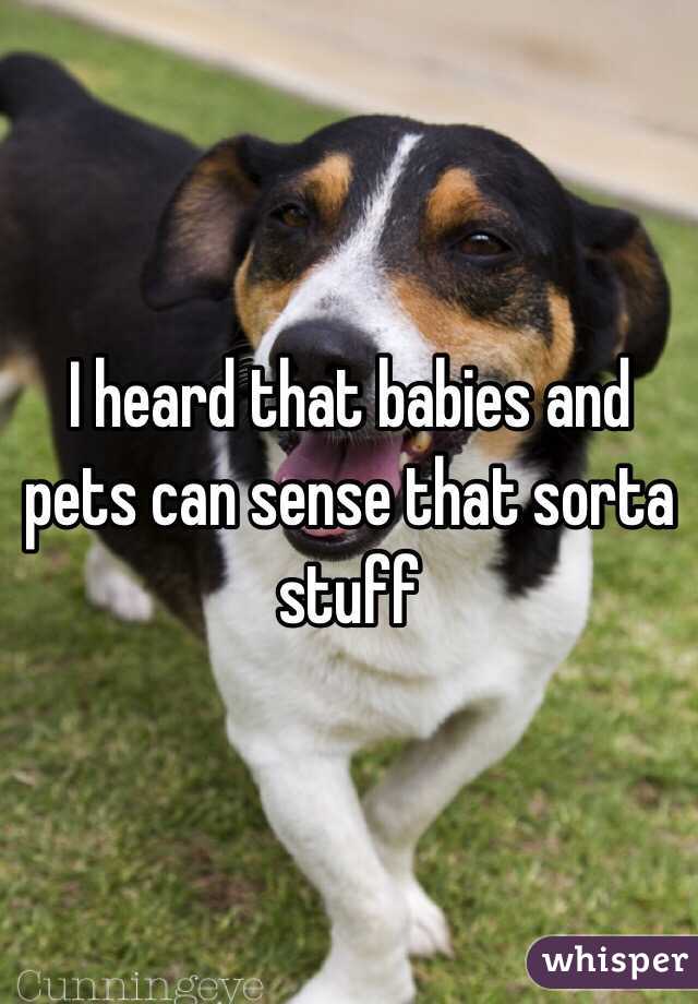 I heard that babies and pets can sense that sorta  stuff 