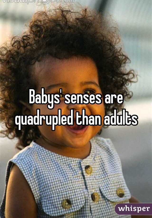 Babys' senses are quadrupled than adults