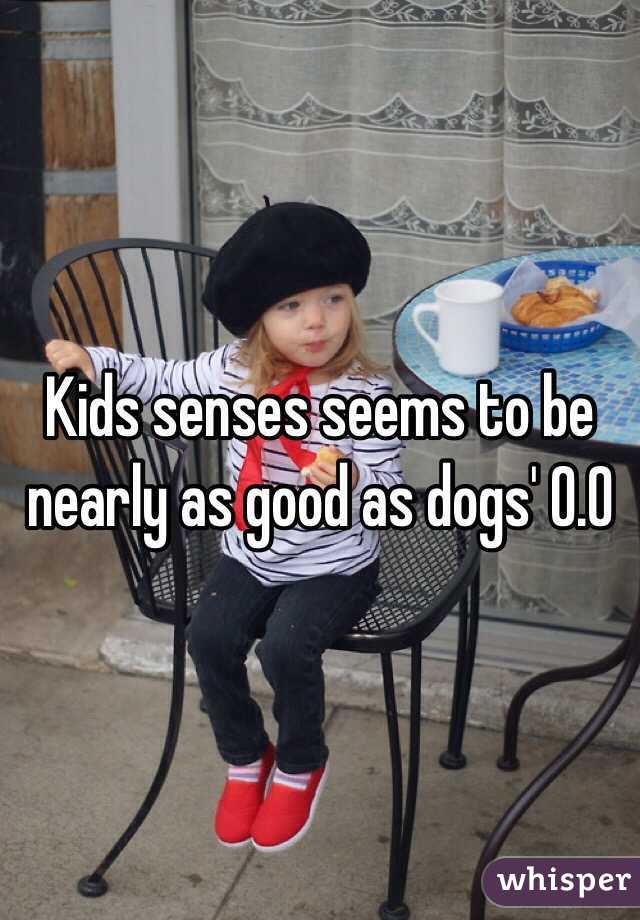 Kids senses seems to be nearly as good as dogs' 0.0