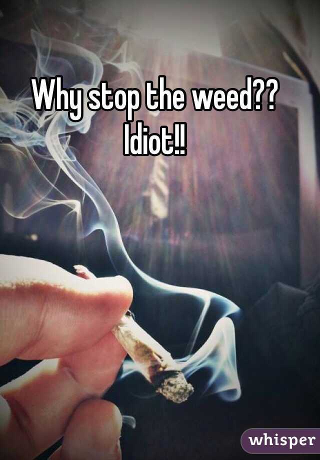Why stop the weed?? Idiot!!