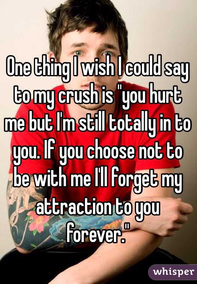 One thing I wish I could say to my crush is "you hurt me but I'm still totally in to you. If you choose not to be with me I'll forget my attraction to you forever."