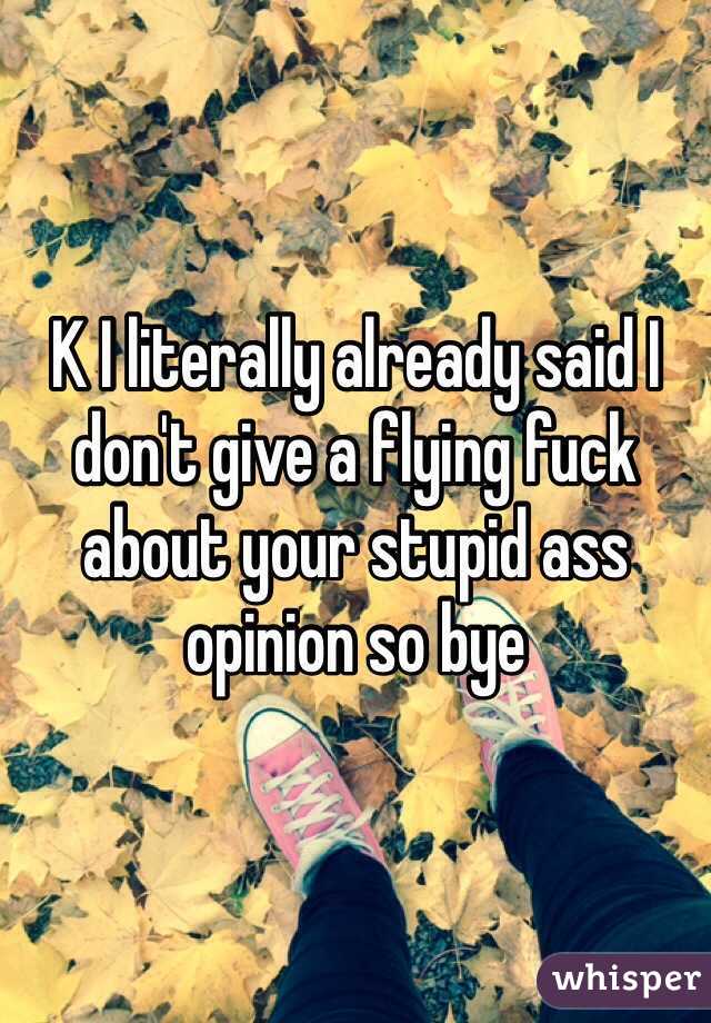 K I literally already said I don't give a flying fuck about your stupid ass opinion so bye