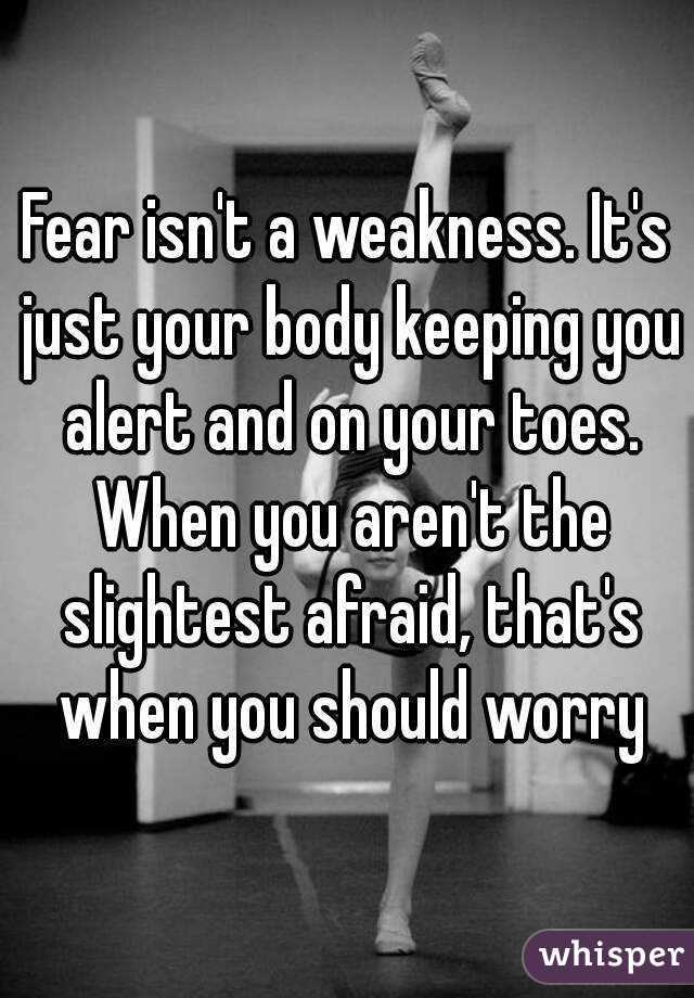 Fear isn't a weakness. It's just your body keeping you alert and on your toes. When you aren't the slightest afraid, that's when you should worry