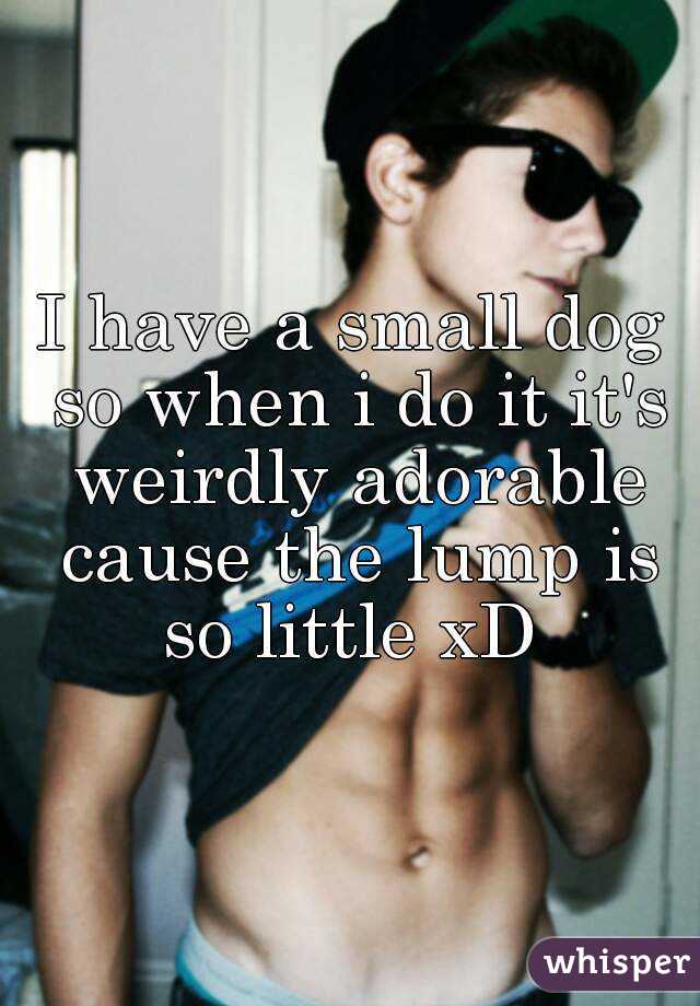 I have a small dog so when i do it it's weirdly adorable cause the lump is so little xD 