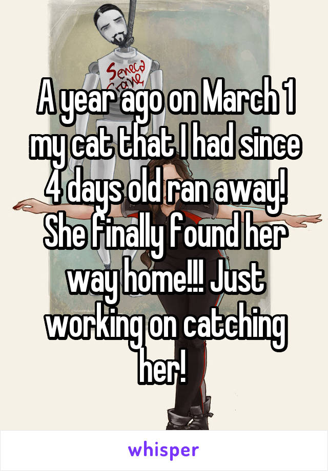 A year ago on March 1 my cat that I had since 4 days old ran away! She finally found her way home!!! Just working on catching her! 