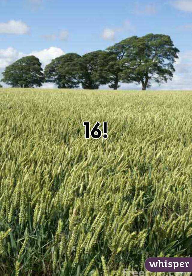 16!
