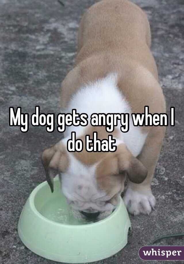 My dog gets angry when I do that