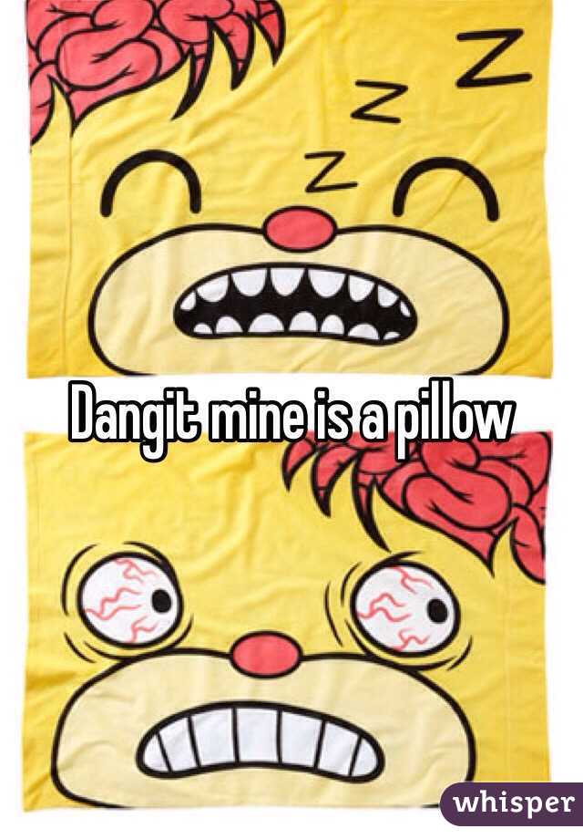 Dangit mine is a pillow