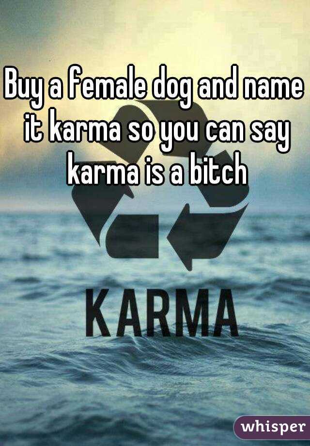 Buy a female dog and name it karma so you can say karma is a bitch