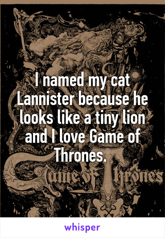 I named my cat Lannister because he looks like a tiny lion and I love Game of Thrones. 