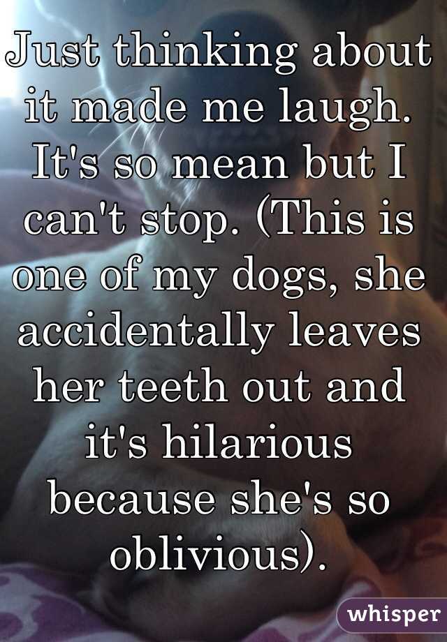 Just thinking about it made me laugh. It's so mean but I can't stop. (This is one of my dogs, she accidentally leaves her teeth out and it's hilarious because she's so oblivious).