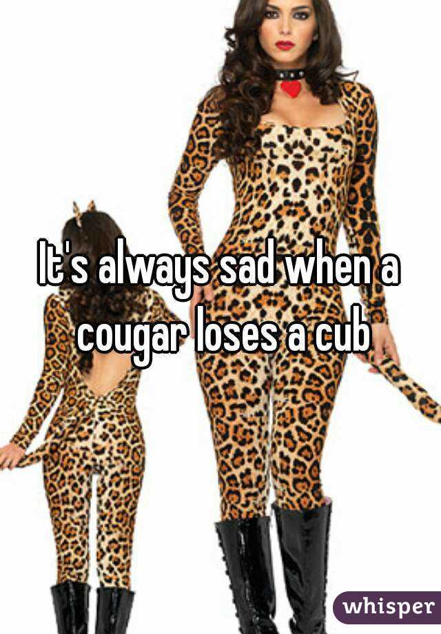 It's always sad when a cougar loses a cub