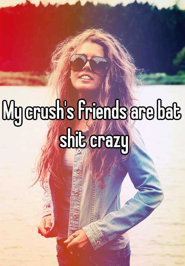 my-crush-s-friends-are-bat-shit-crazy