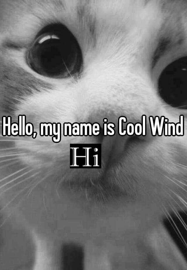 hello-my-name-is-cool-wind