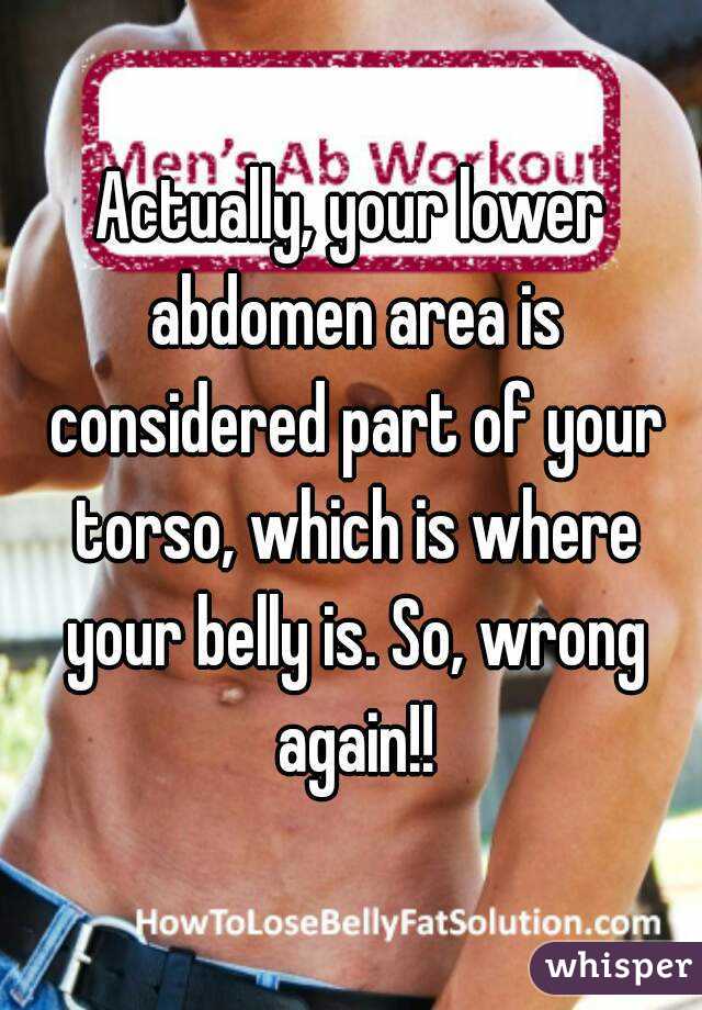 Actually, your lower abdomen area is considered part of your torso, which is where your belly is. So, wrong again!!