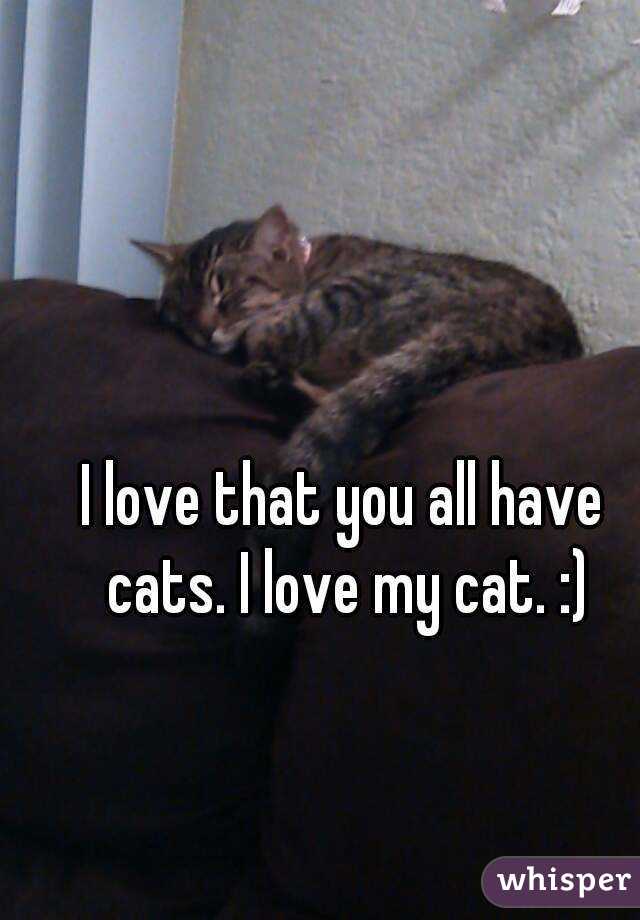 I love that you all have cats. I love my cat. :)