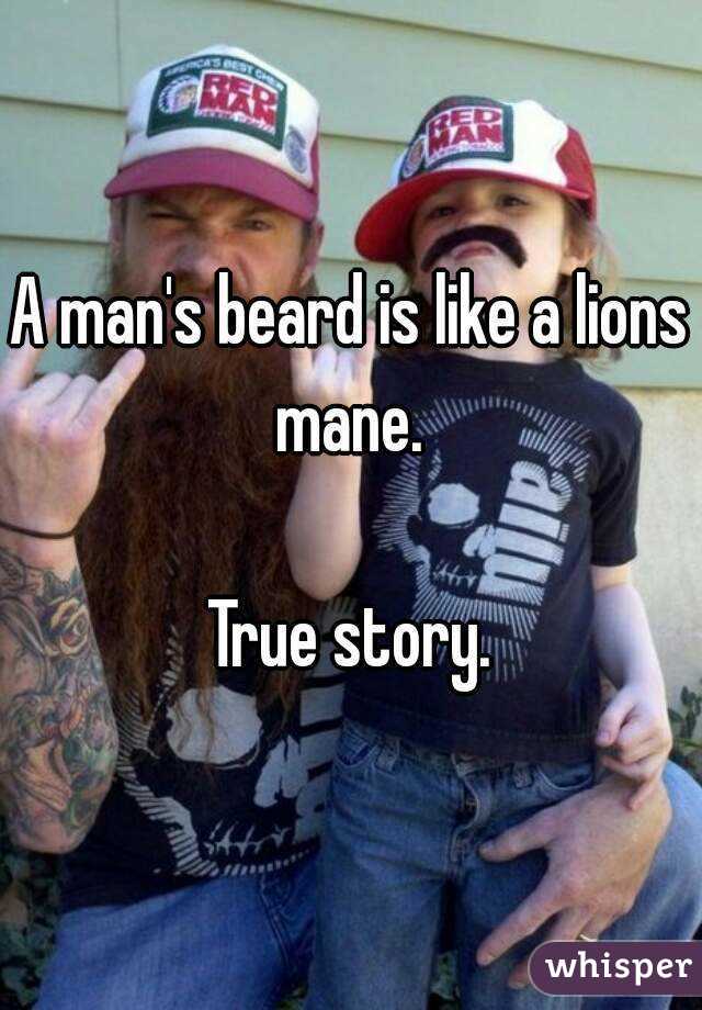 A man's beard is like a lions mane. 

True story.