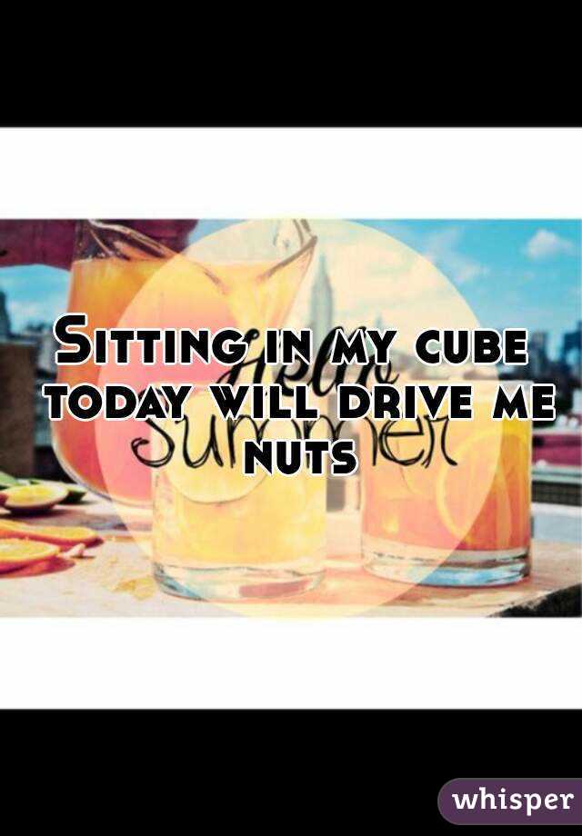 Sitting in my cube today will drive me nuts