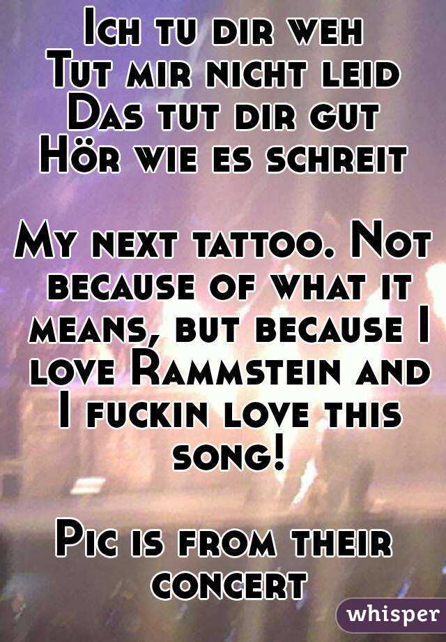 Ich tu dir weh
Tut mir nicht leid
Das tut dir gut
Hör wie es schreit

My next tattoo. Not because of what it means, but because I love Rammstein and I fuckin love this song!

Pic is from their concert