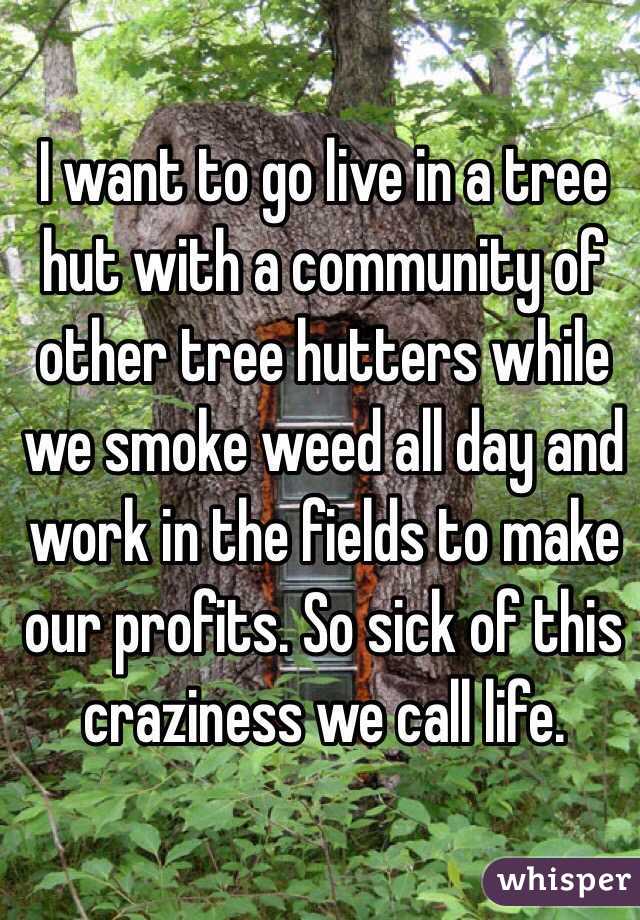 I want to go live in a tree hut with a community of other tree hutters while we smoke weed all day and work in the fields to make our profits. So sick of this craziness we call life.