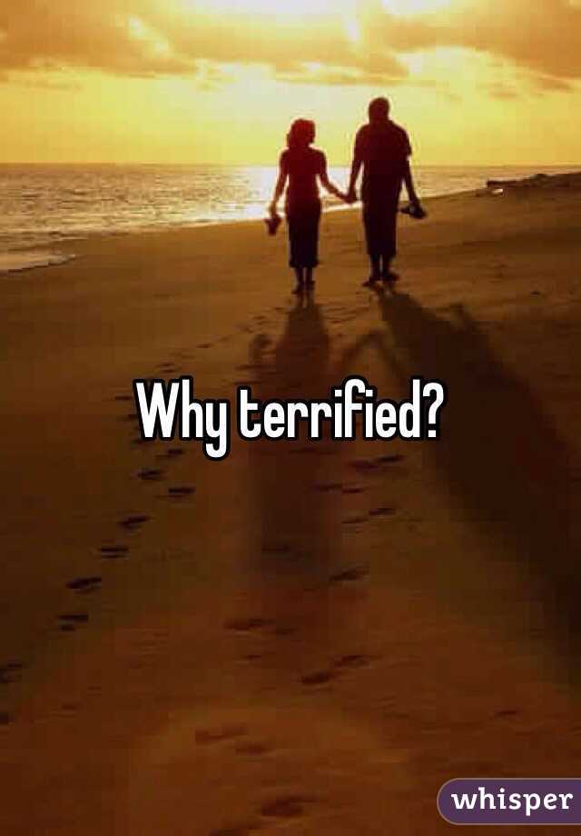 Why terrified?