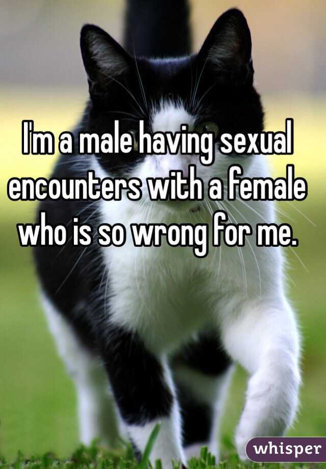 I'm a male having sexual encounters with a female who is so wrong for me. 