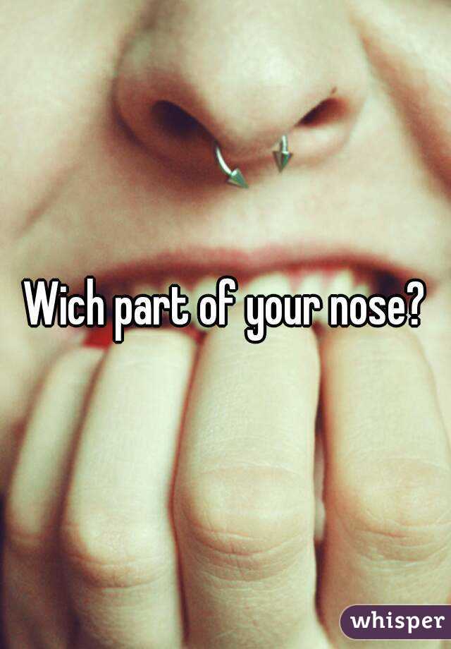 Wich part of your nose?