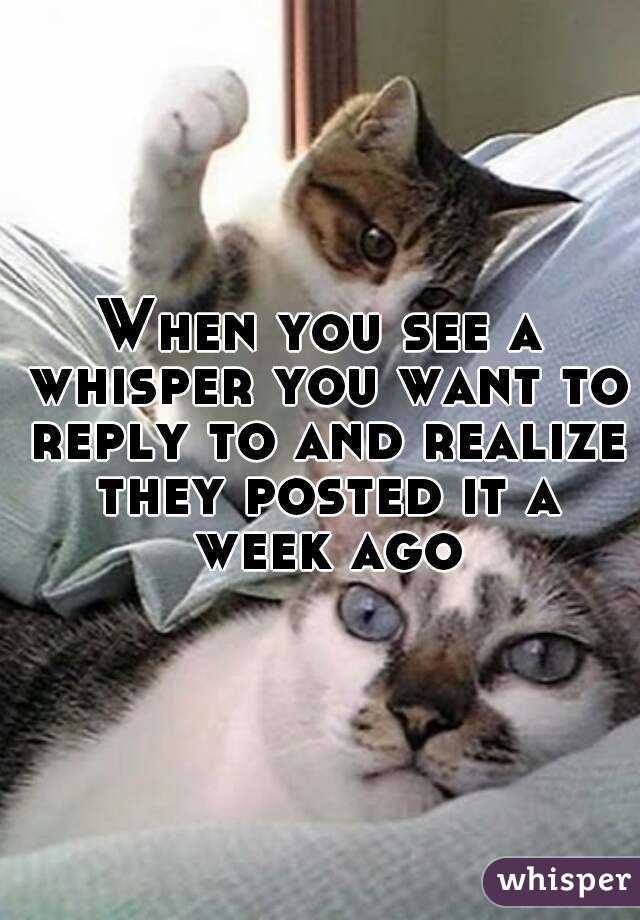When you see a whisper you want to reply to and realize they posted it a week ago