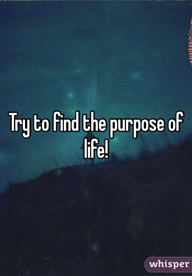 Try to find the purpose of life!