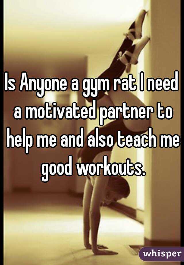 Is Anyone a gym rat I need a motivated partner to help me and also teach me good workouts.