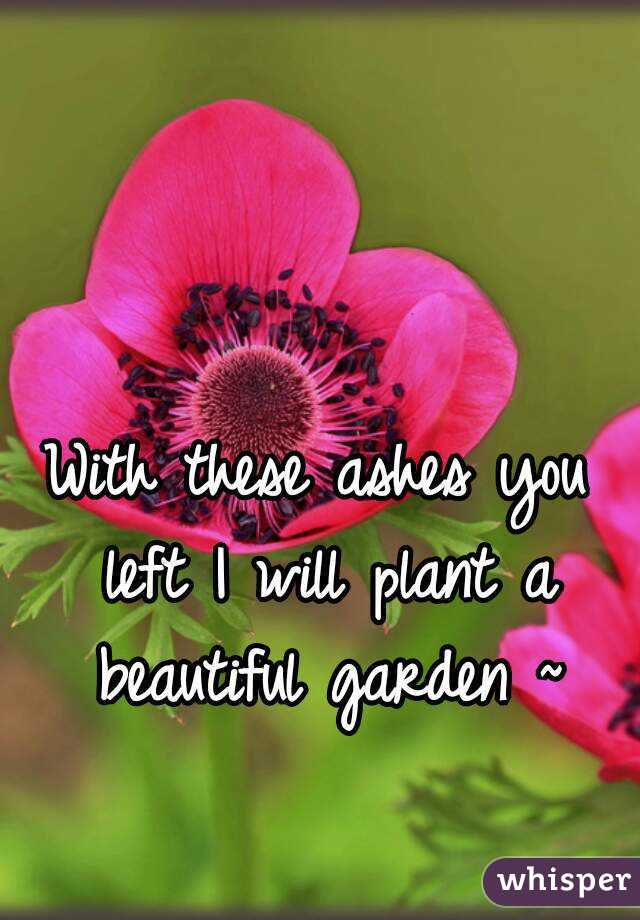 With these ashes you left I will plant a beautiful garden ~