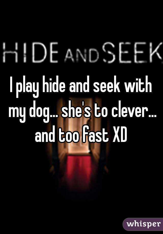 I play hide and seek with my dog... she's to clever... and too fast XD 