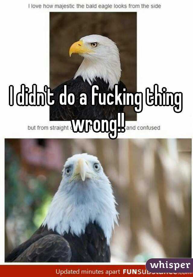 I didn't do a fucking thing wrong!!