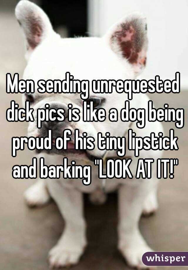 Men sending unrequested dick pics is like a dog being proud of his tiny lipstick and barking "LOOK AT IT!"