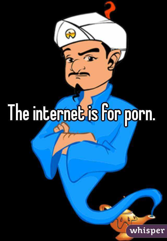 The internet is for porn. 