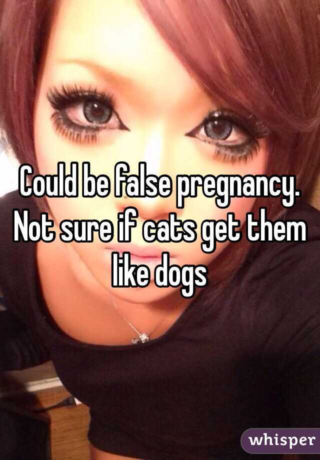 Could be false pregnancy. Not sure if cats get them like dogs 