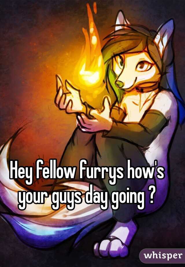 Hey fellow furrys how's your guys day going ?